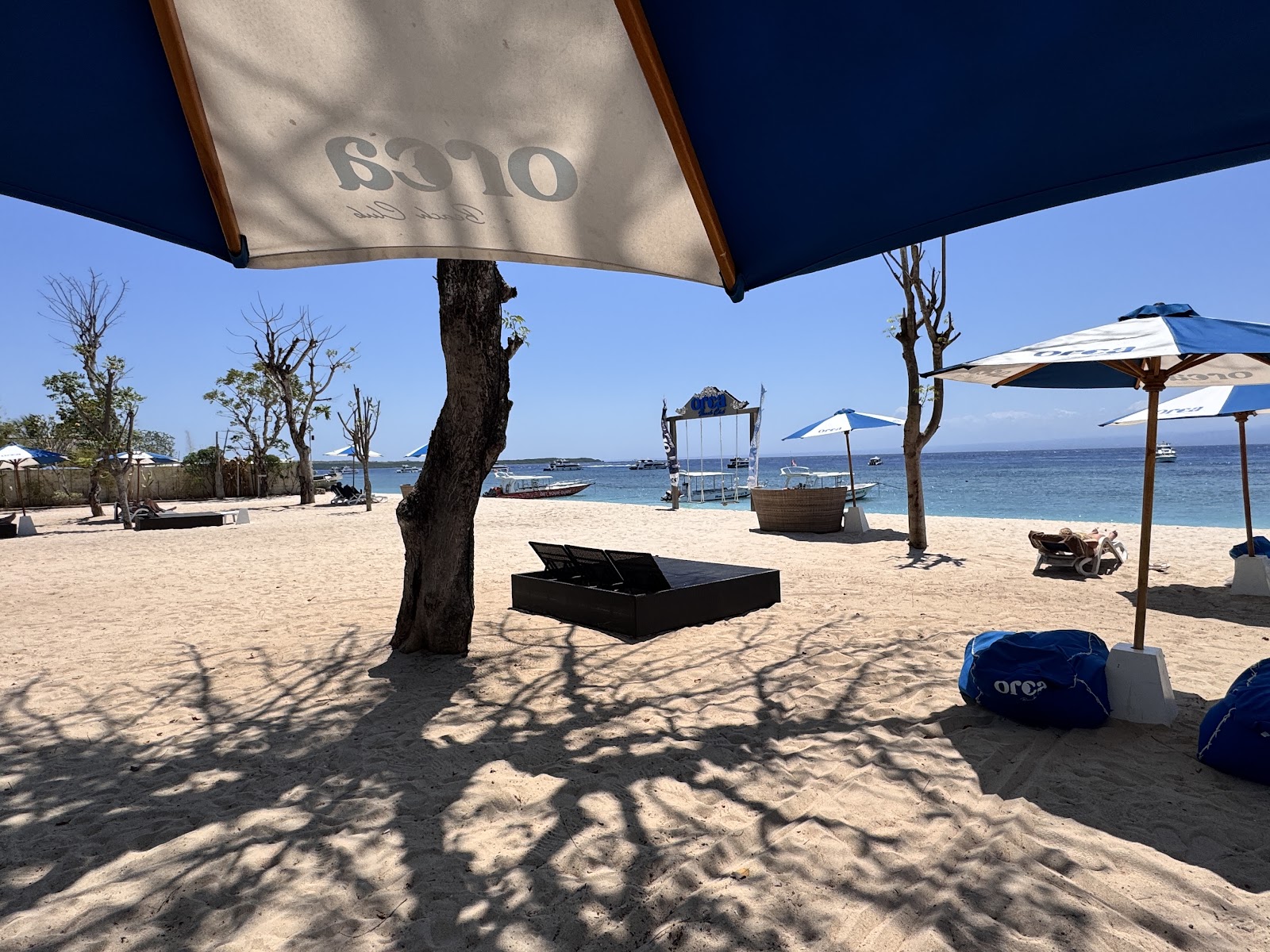 Orca Beach Club branded umbrellas on the beach