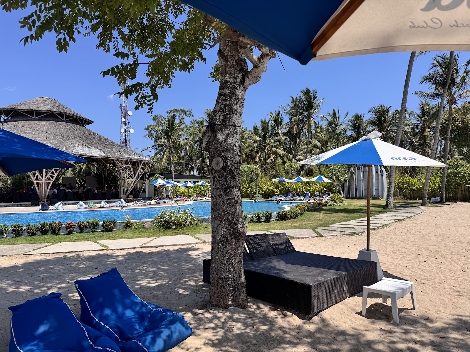 Orca Beach Club pool area with daybeds and umbrellas