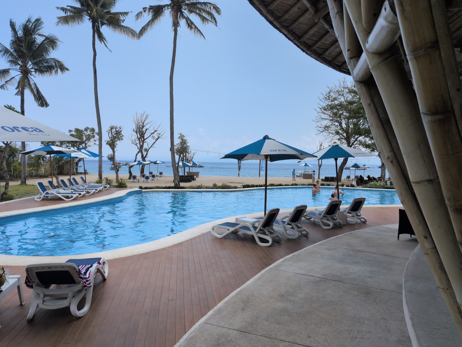 Pool and sunbeds at Orca Beach Club